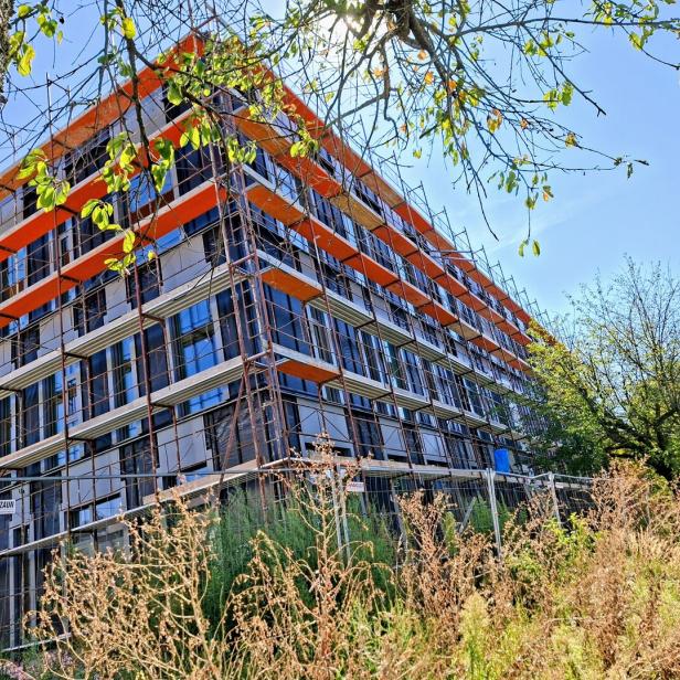 FH Campus Pinkafeld, Medizin-Uni