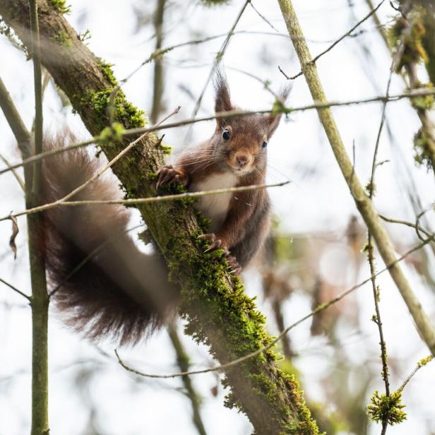 Wetter in Baden-Württemberg