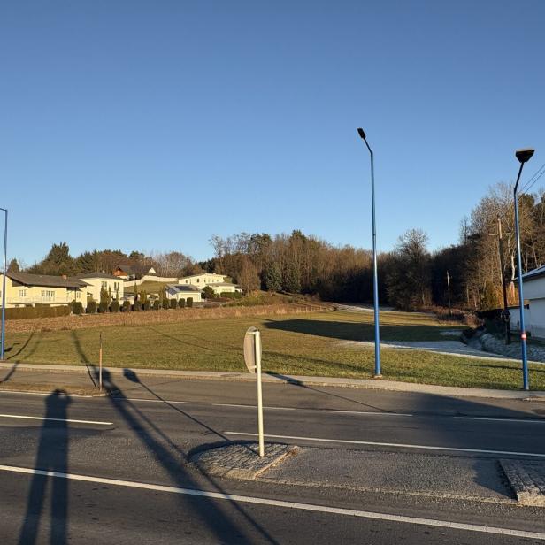 Mehrere Häuser stehen am Rand einer Wiese, im Vordergrund verläuft eine Straße mit Gehweg und Straßenlaternen.