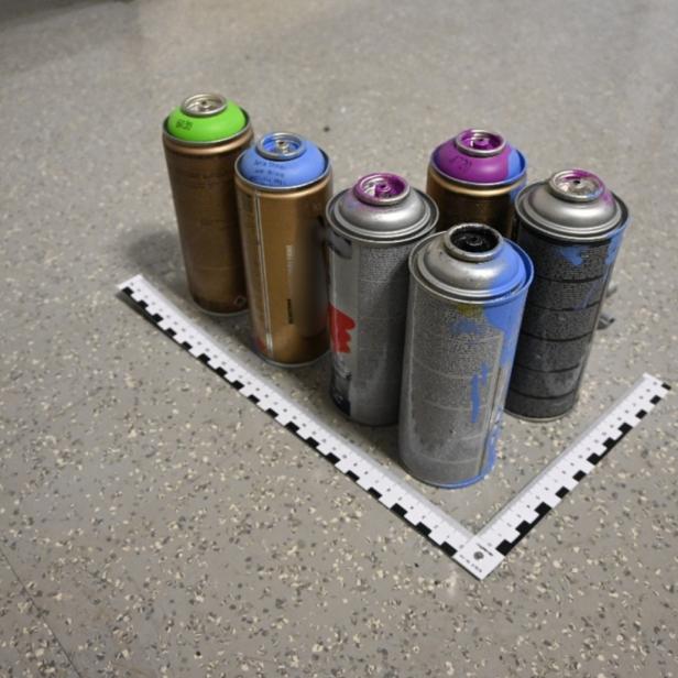 24-Jähriger beschmierte Wiener U-Bahngarnitur mit Graffiti 