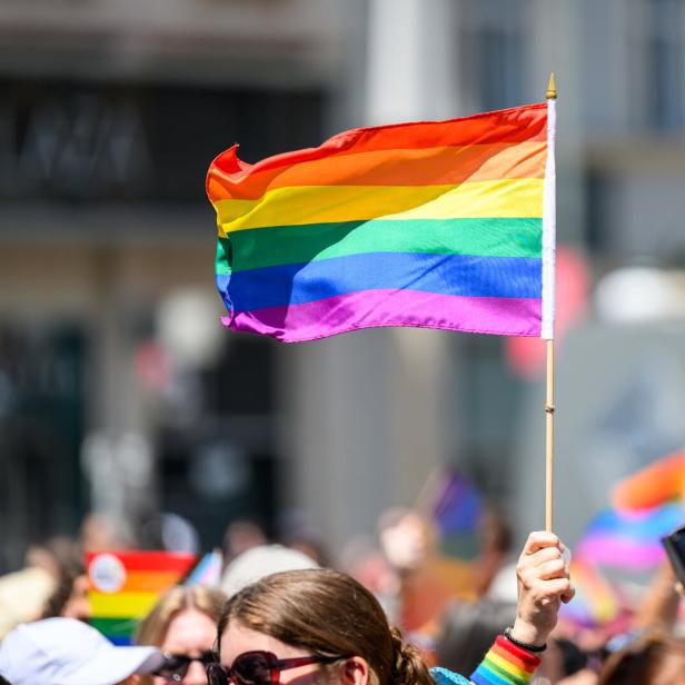 ++ THEMENBILD ++ DIVERSITÄT / LGBTQ / REGENBOGENFAHNE