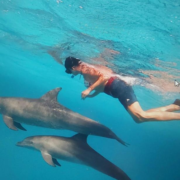 Eine Person mit Schnorchel schwimmt unter Wasser neben zwei Delfinen im klaren blauen Meer.
