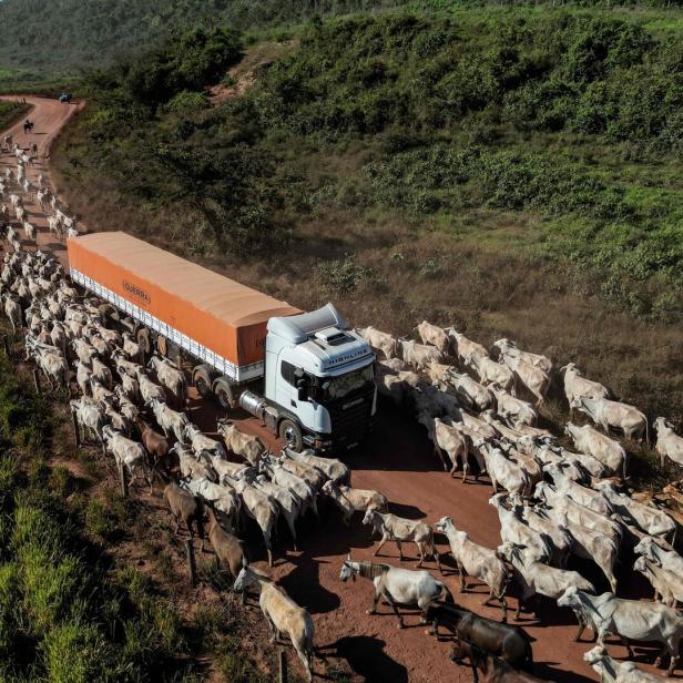 CLIMATE-COP30-BRAZIL-UN-AMAZON-FOREST FIRES