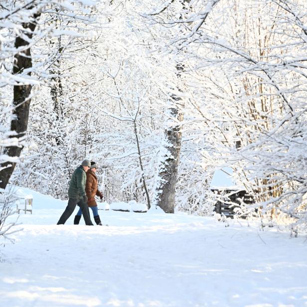 ++ THEMENBILD ++ KÄLTE / WINTER / WETTER / TEMPERATUREN / FROST / SCHNEE