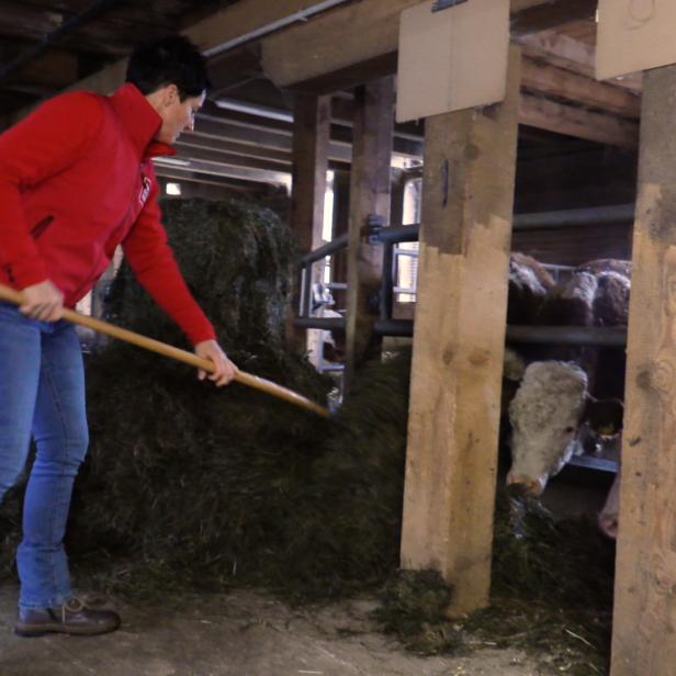 Eine Frau benutzt einen Rechen, um Heu zusammenzutragen.