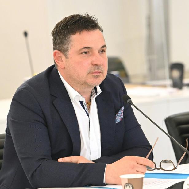 ÖVP-KORRUPTIONS-U-AUSSCHUSS: RIES