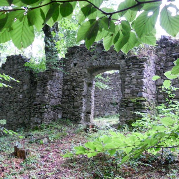 Alte, überwucherte Steinruine steht im dichten, grünen Wald, umgeben von Bäumen und Pflanzen.
