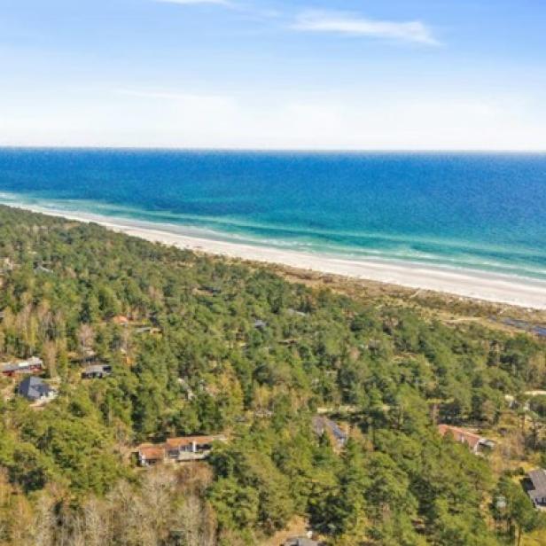 Luftaufnahme eines Strandes, umgeben von einem bewaldeten Gebiet, das die natürliche Schönheit der Landschaft zeigt.