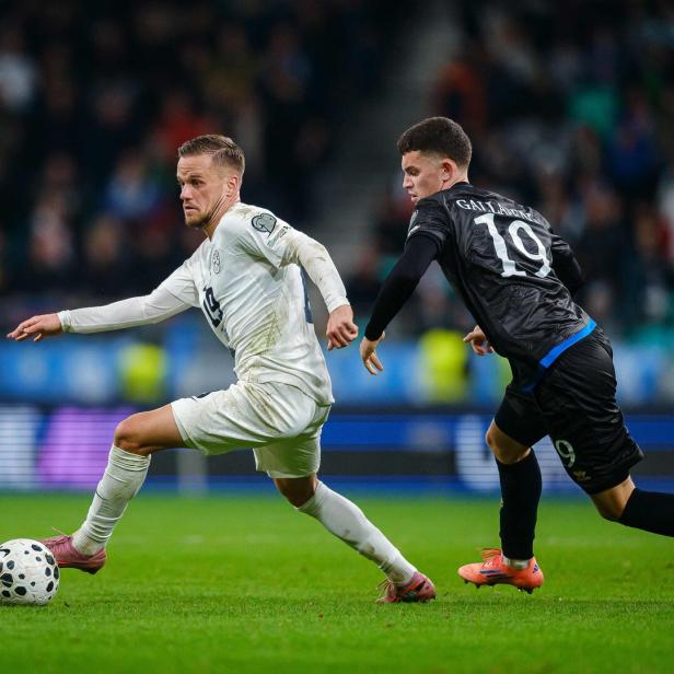 Horvat wurde mit Sturm bisher zweimal Meister. 