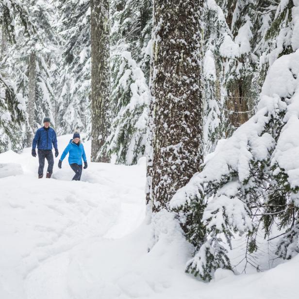 Zwei Menschen wandern in dicker Winterkleidung durch einen verschneiten Wald mit hohen, schneebedeckten Bäumen.