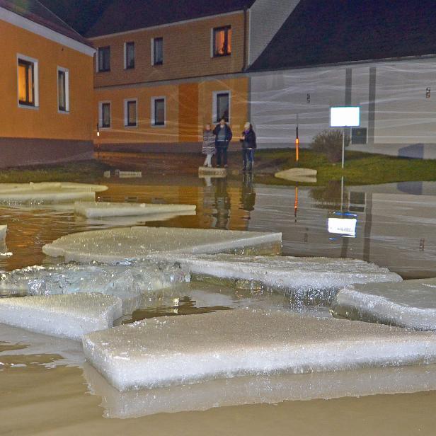 Schwimmende Eisschollen auf dem bräunlichen Wasser der Thaya.