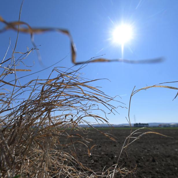 ++ THEMENBILD ++ TROCKENHEIT / WETTER /? DÜRRE /? KLIMAWANDEL