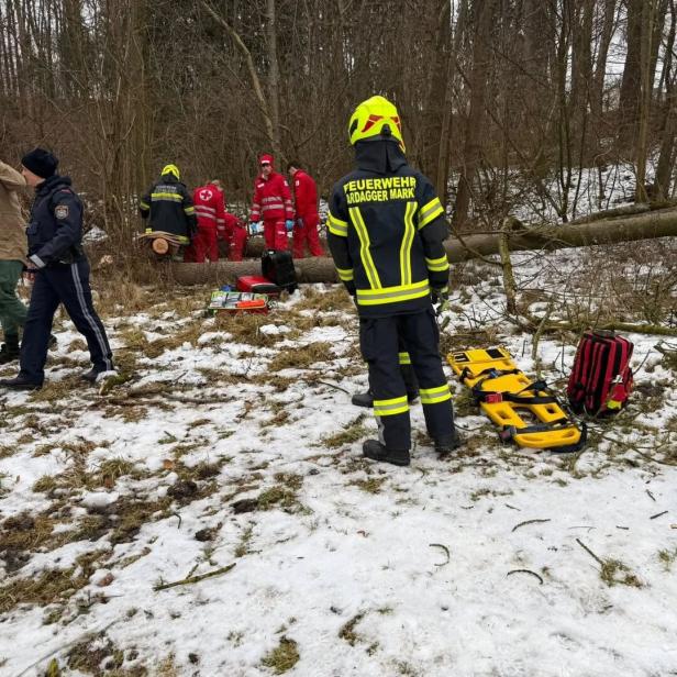 Unfallstelle im WAld