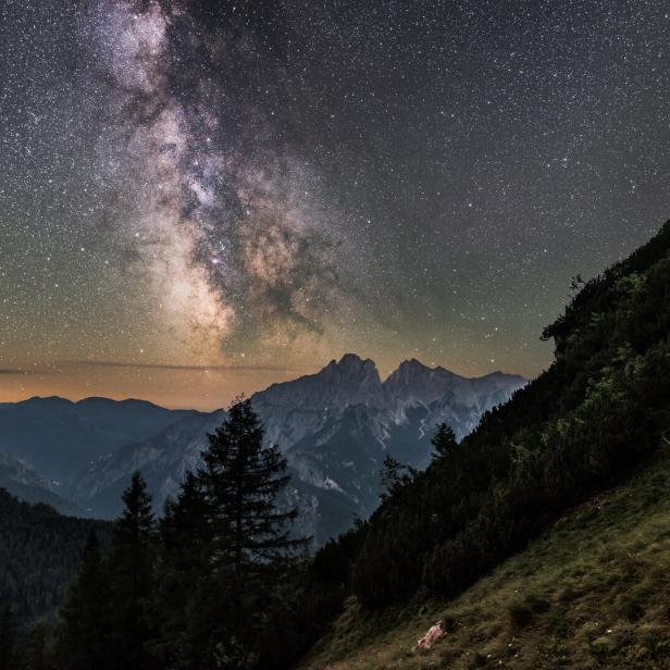 ++ HANDOUT ++ KLIMA-SOMMERSERIE: NATURNACHTGEBIET EISENWURZEN WILL DUNKELHEIT BEWAHREN