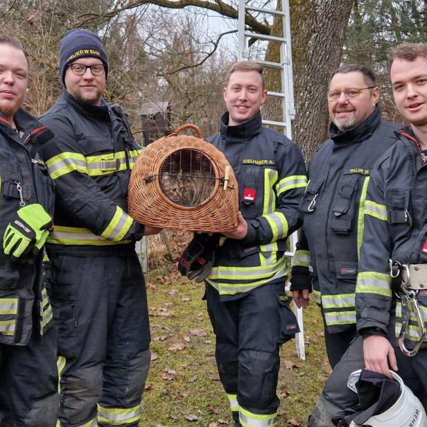 Feuerwehrleute mit geretteter Katze 