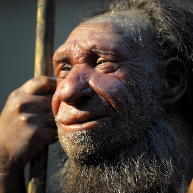Neandertaler