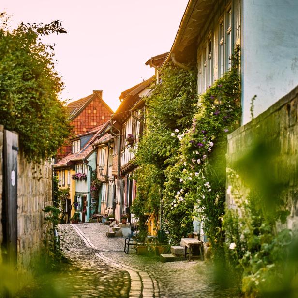 Verwinkelte Gasse mit Fachwerkhäusern und Blumen in Quedlinburg bei Sonnenuntergang.