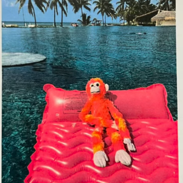 Ein orangefarbenes Stoffäffchen liegt entspannt auf einer roten Luftmatratze im Wasser, im Hintergrund Palmen und Meer.