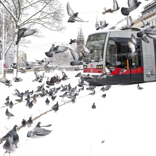 Wintereinbruch: Ein Toter bei Räumarbeiten, Chaos am Flughafen