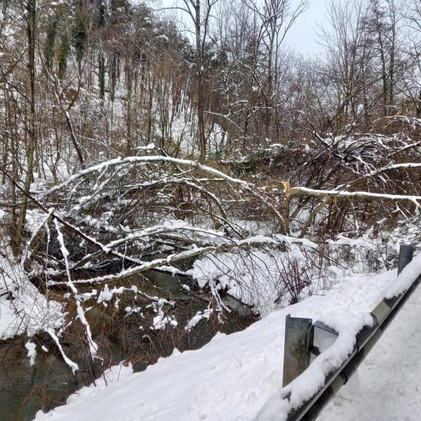 Ein umgestürzter Baum liegt verschneit über einem Bach neben einer schneebedeckten Straße mit Leitplanke.