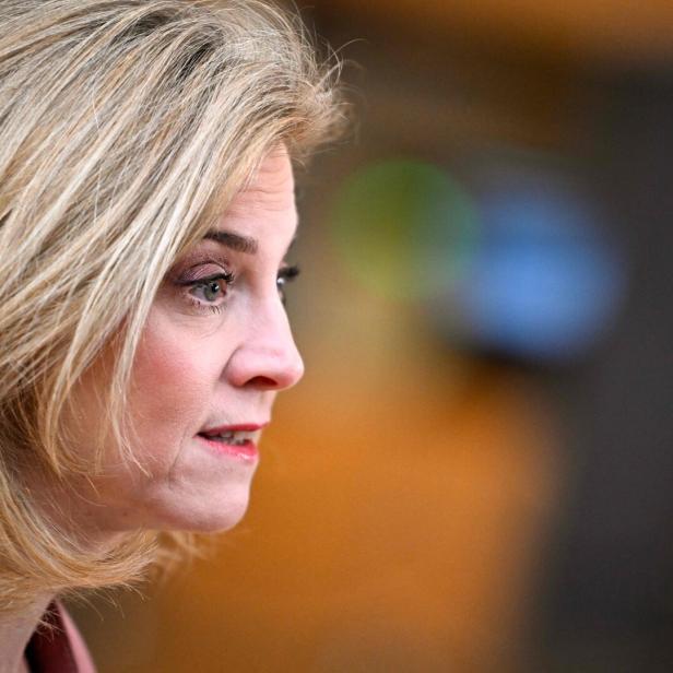 Beate Meinl-Reisinger