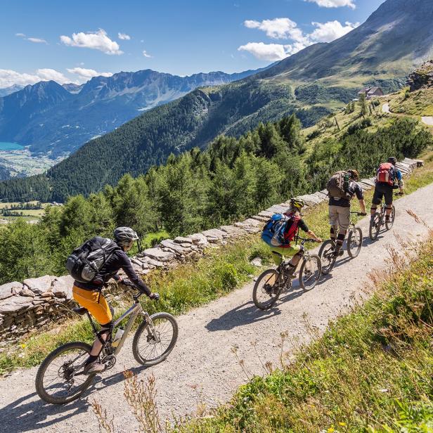 Vier Radfahrer fahren auf einem Bergweg durch eine grüne Alpenlandschaft bei Sonnenschein.