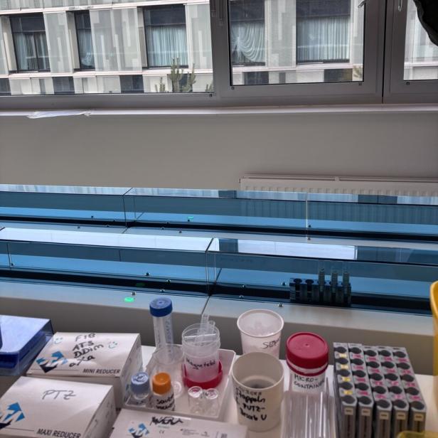 Laborutensilien und Probenröhrchen stehen auf einer Fensterbank, im Hintergrund ist ein modernes Gebäude zu sehen.