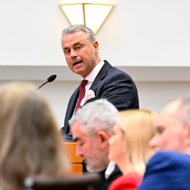 Rot-grüne Koalition im Burgenland will Norbert Hofer ausliefern