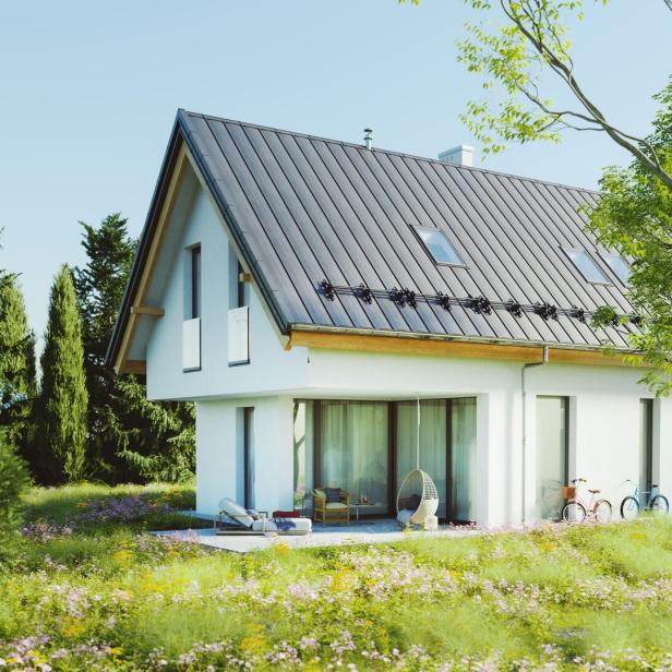 Simple modern house with lush garden