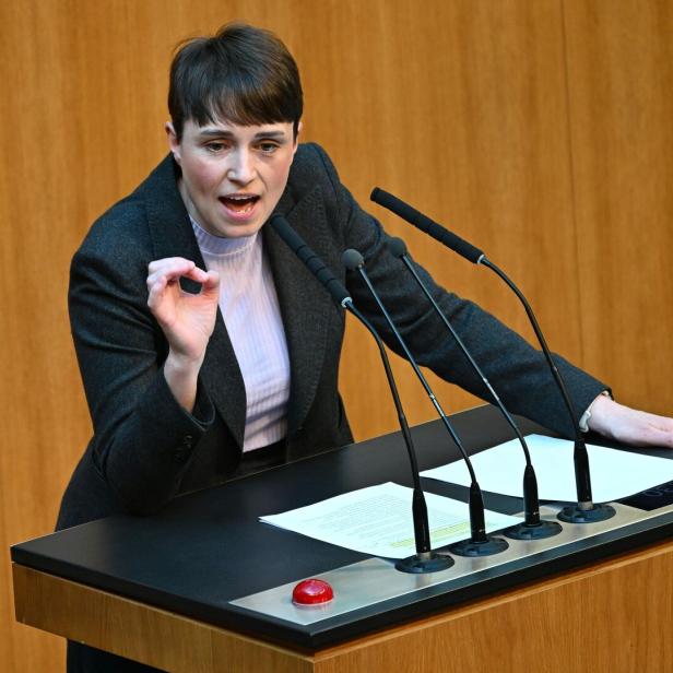 SONDERSITZUNG DES NATIONALRATS AUF VERLANGEN DER FPÖ: MAURER