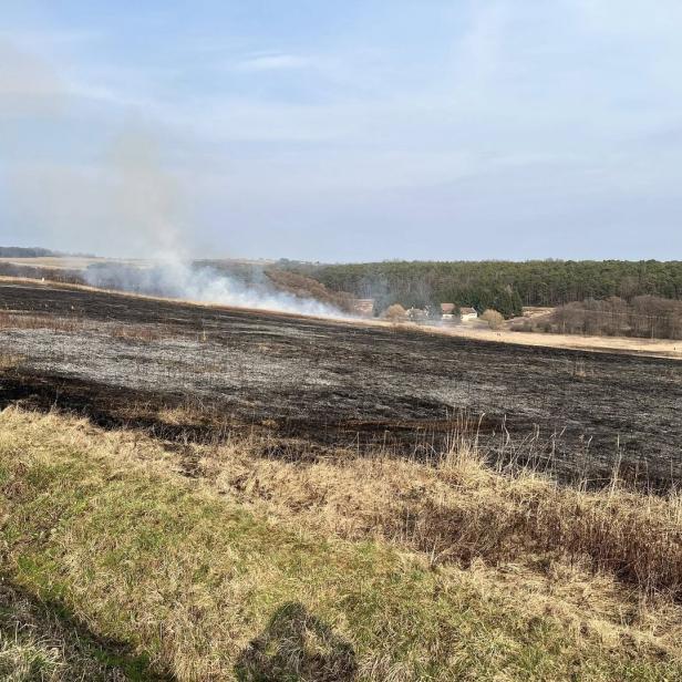 Verbranntes Feld mit Rauchentwicklung, im Hintergrund ein Wald und einige Häuser am Waldrand.
