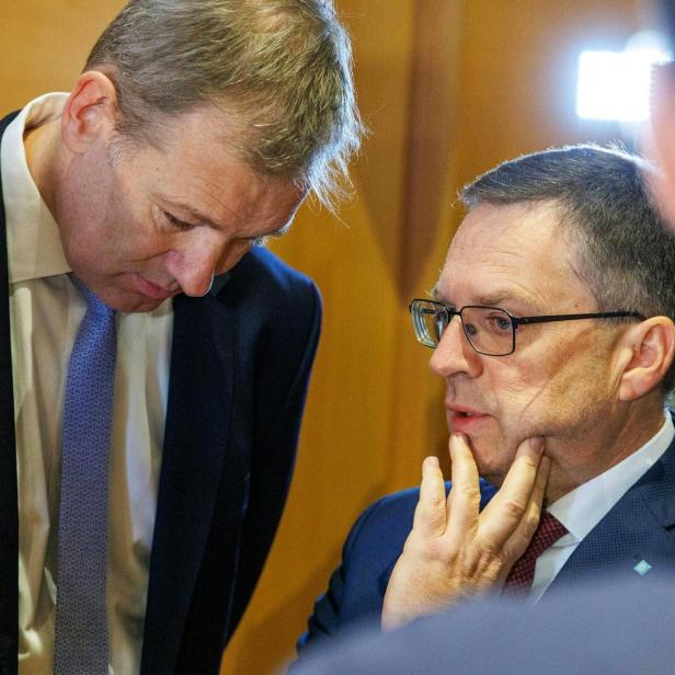 PROZESS GEGEN ÖVP-KLUBOBMANN WÖGINGER UND ZWEI FINANZBEAMTE WEGEN AMTSMISSBRAUCHS: ROHREGGER / WÖGINGER