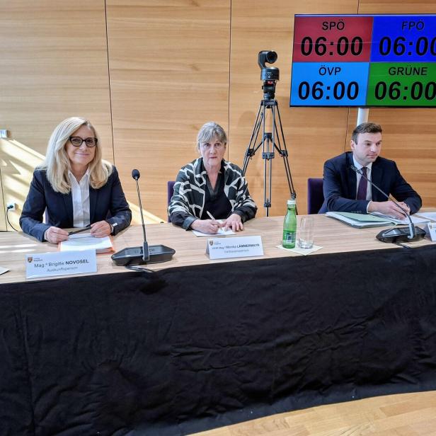 U-Ausschuss Neue Eisenstädter, Brigitte Novosel, Monika Lämmermayer, Verfahrensanwalt