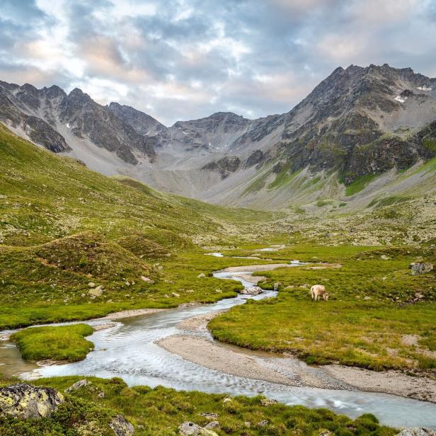 Ein Fluss schlängelt sich durch eine grüne Berglandschaft unter einem bewölkten Himmel.