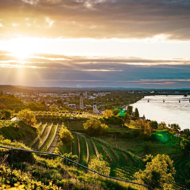 Wachau bei Sonnenuntergang