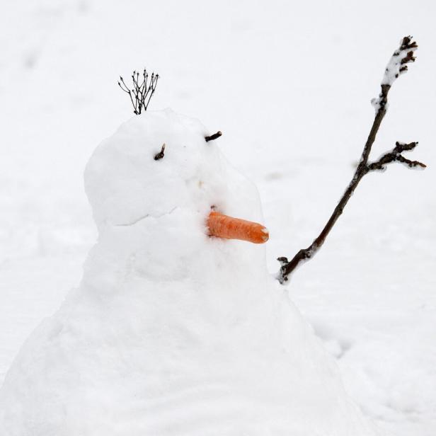 AUSTRIA-WEATHER-FEATURE-SNOW