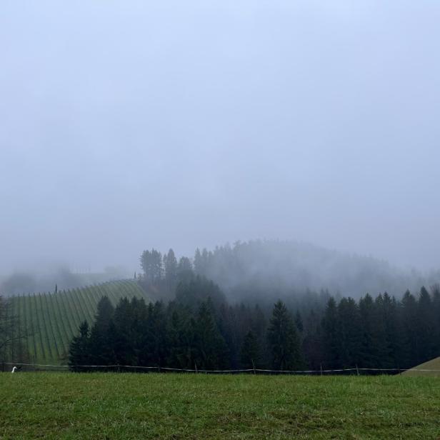 Die Hügel der Südsteiermark im Nebel