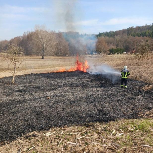 Ein Feuerwehrmann löscht einen brennenden Grasbrand auf einer Wiese, während Rauch aufsteigt.