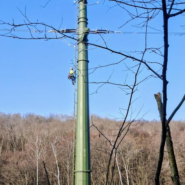 Neubau der 110 kV Leitung zwischen Steinbrunn und Au am Leithaberge