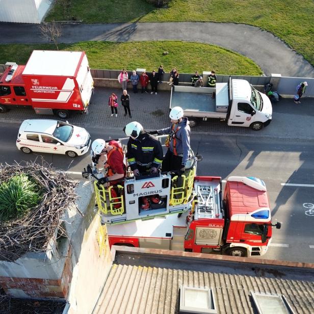Feuerwehrleute in einer Drehleiter inspizieren ein großes Nest auf einem Schornstein, während Einsatzfahrzeuge und Schaulustige unten stehen.