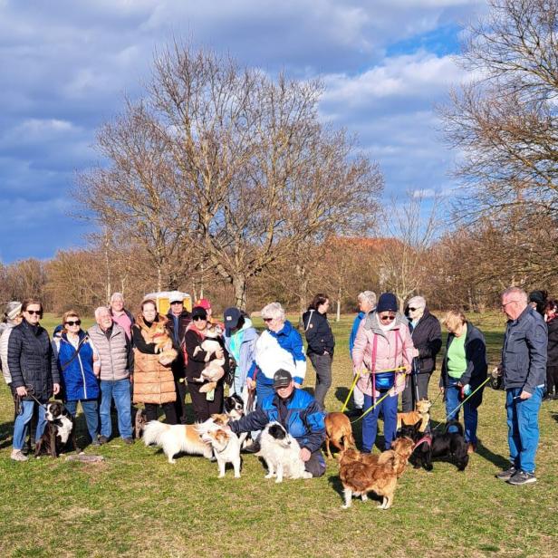 Eine Gruppe von Menschen mit mehreren Hunden versammelt sich auf einer Wiese an einem sonnigen Tag.
