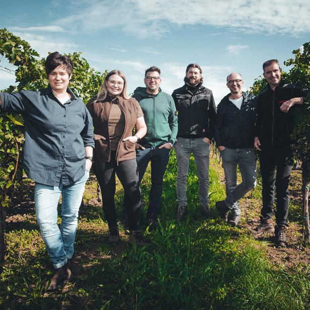 Sechs Personen stehen lächelnd zwischen Weinreben an einem sonnigen Tag im Weinberg.