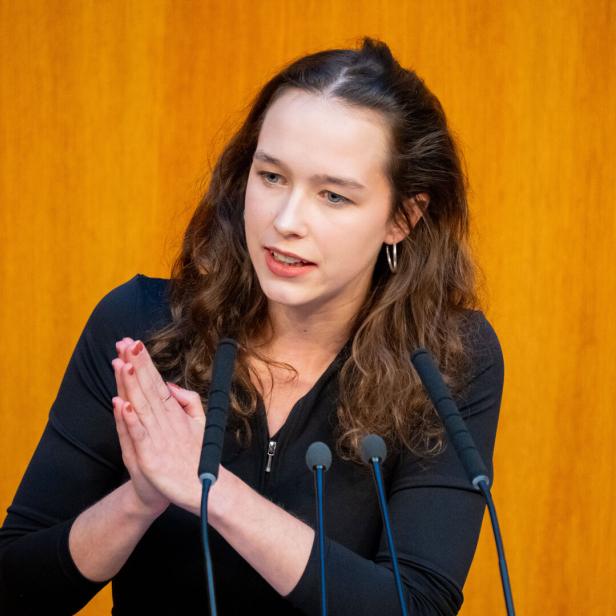 NATIONALRAT: SCHILLING