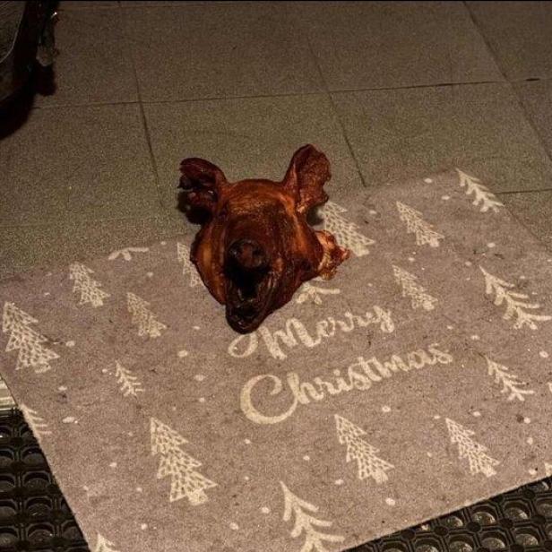 Schweinekopf auf einer Türmatte