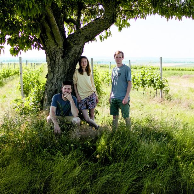 3 Personen vor einem Feld mit Weinreben