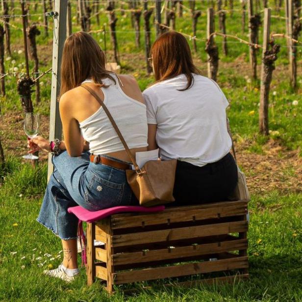 Zwei Frauen sitzen auf einer Bank in einem Weinberg und genießen die Aussicht auf die Weinreben.