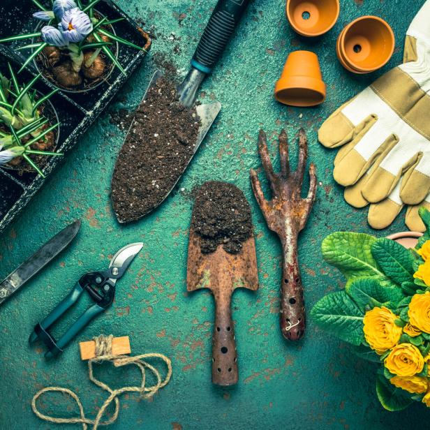 Spring gardening concept - gardening tools with plants, flowerpots and soil