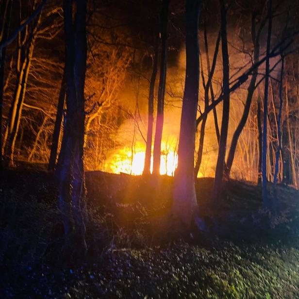Feuer im Wald