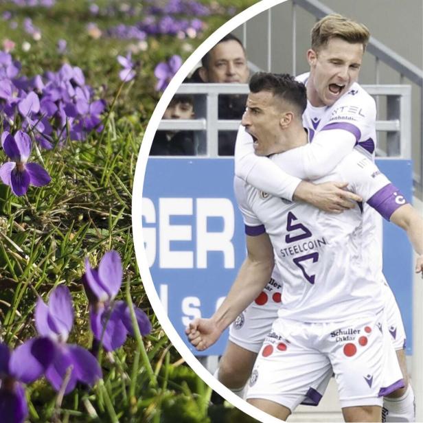 In Wien blühen die Veilchen, die Austrianer freuten sich über ein 1:0 in Hartberg..