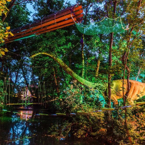 Das Lebensgroße Modell vom Brachiosaurus ist mit bunten Lichter beleuchtet und steht im Gebüsch.